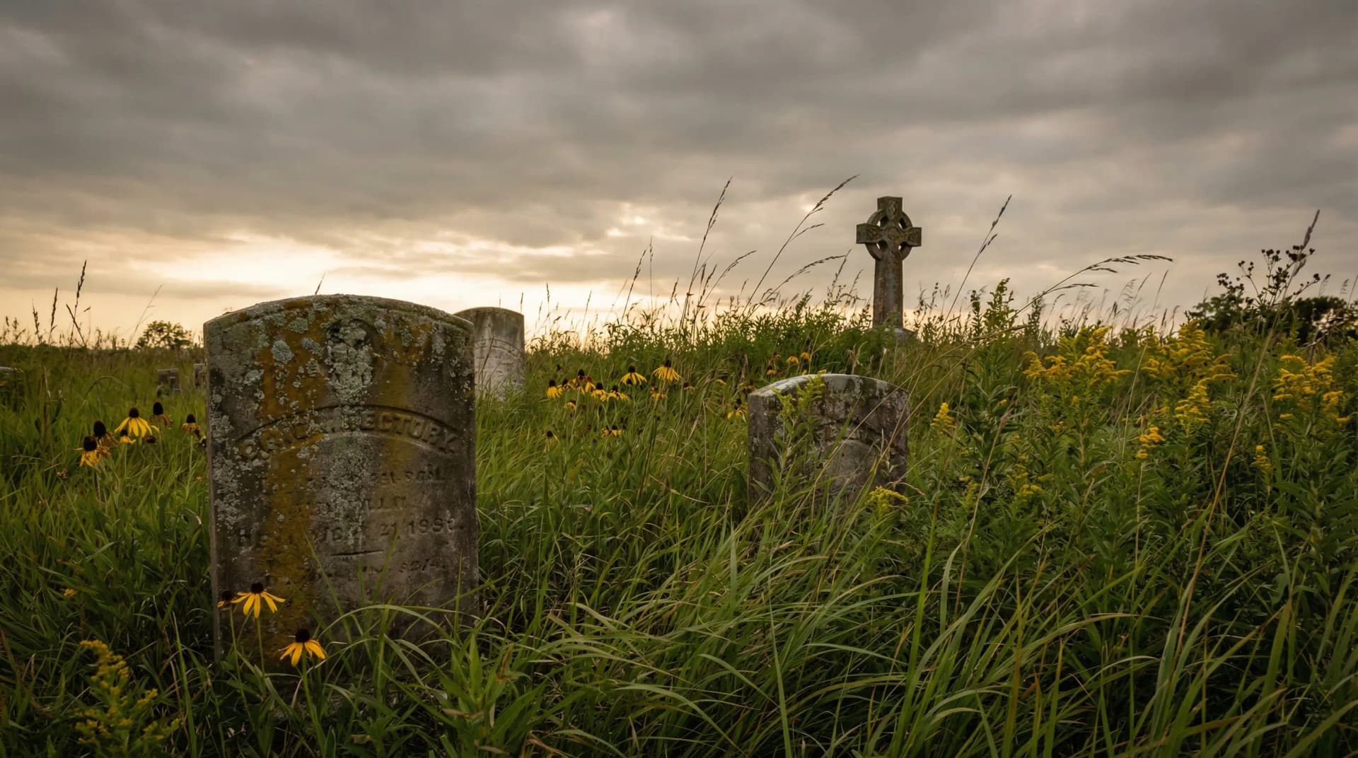 How One Couple's 3M Stock Became One of the Best Nature Preserves in the Twin Cities