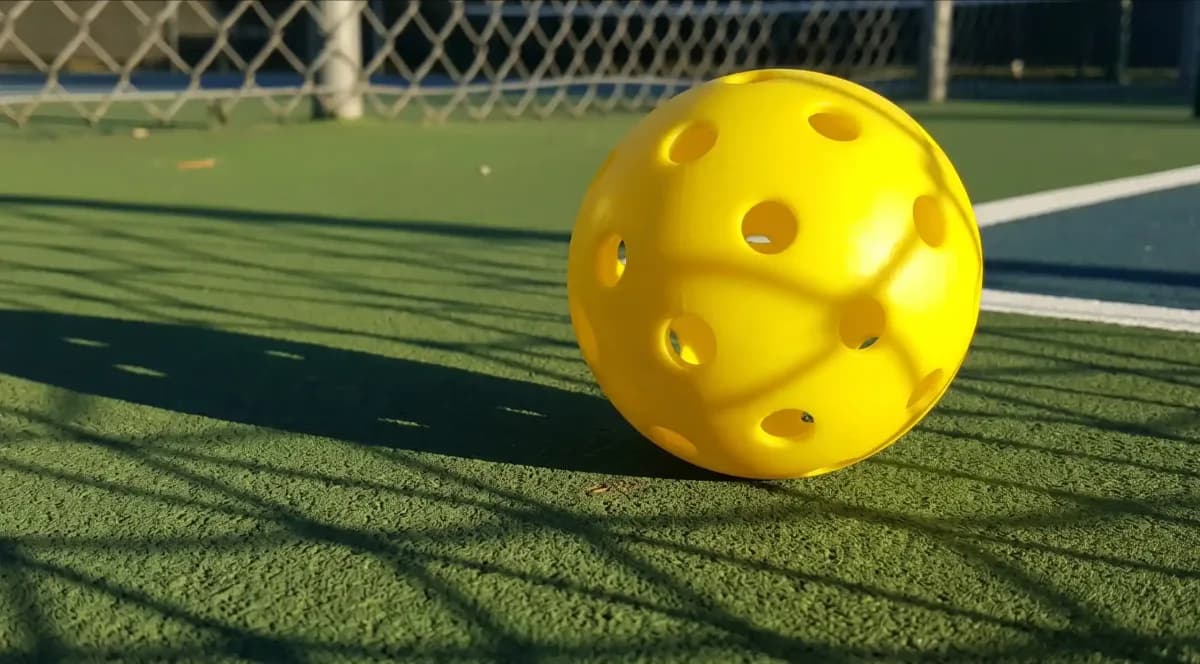 Shakopee Just Approved Outdoor Pickleball Courts & the Neighbors Had a Lot to Say