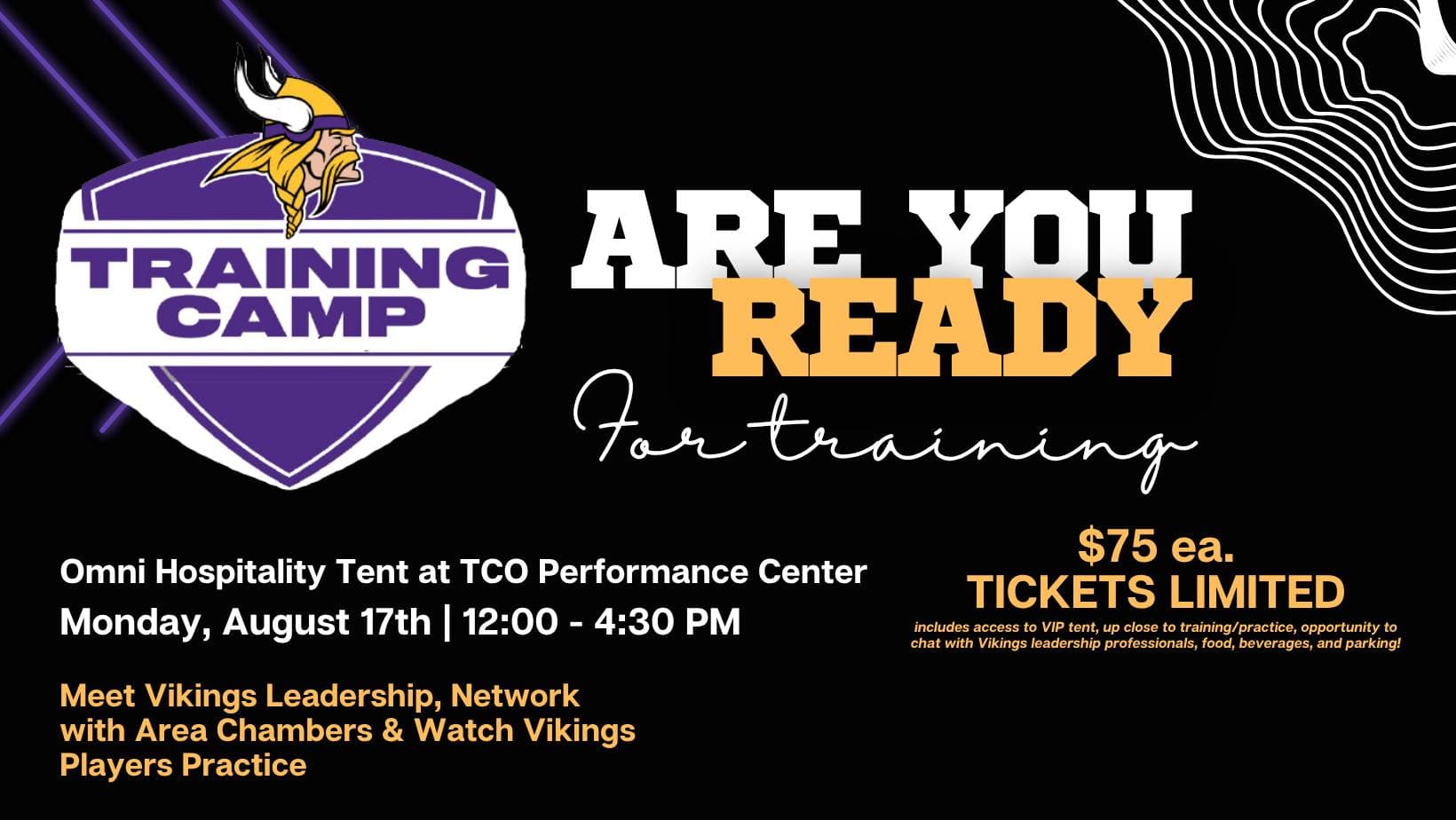 2026 Vikings VIP Training Camp Experience