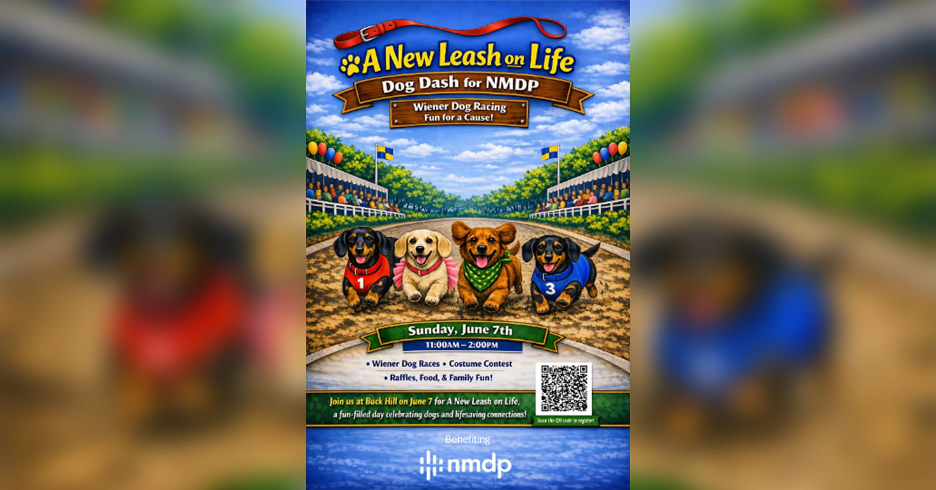 A New Leash on Life: Dog Dash for NMDP