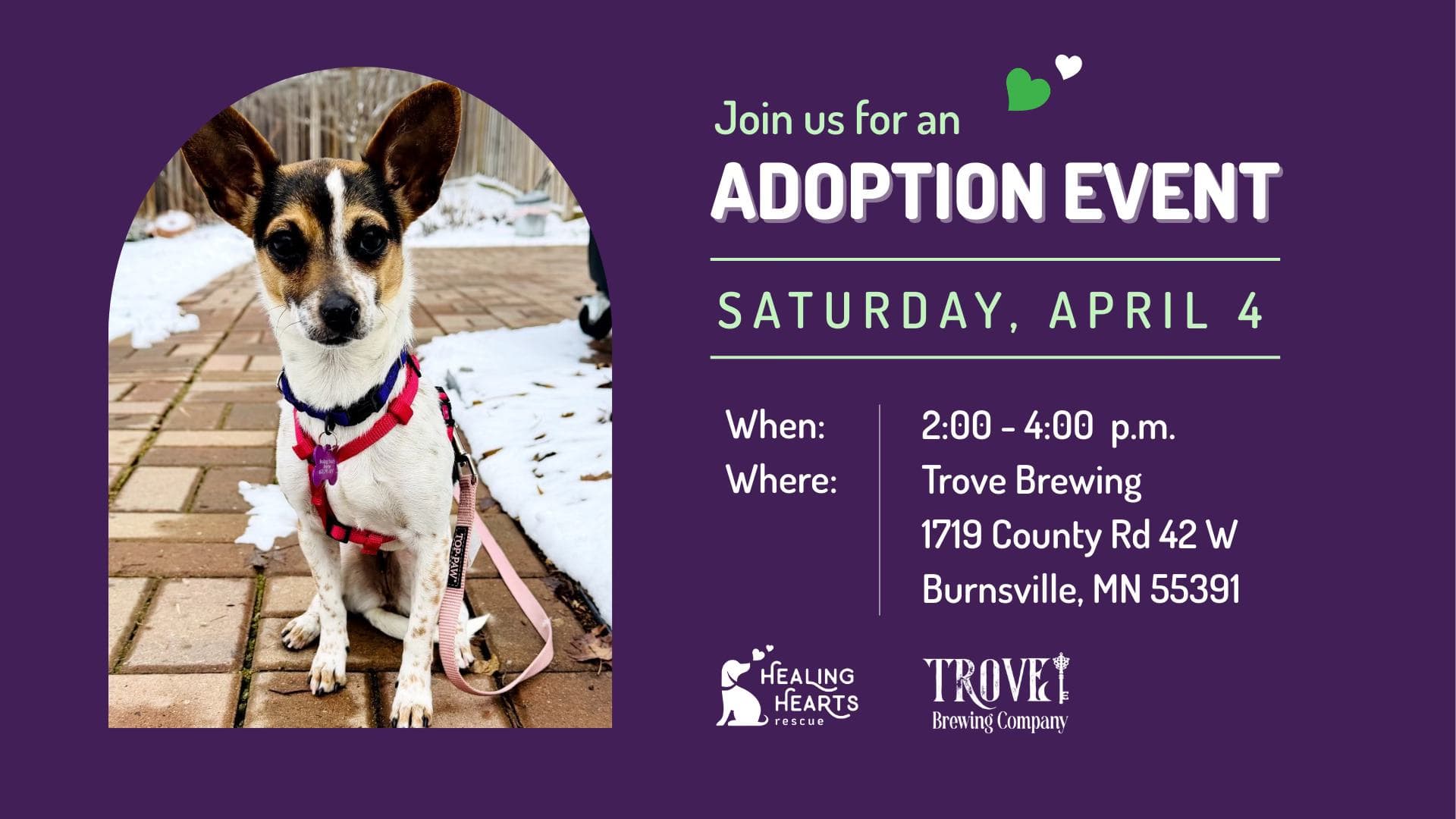 Adoption Event at Trove Brewing