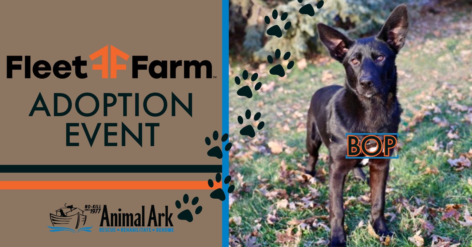 Animal Ark/ Fleet Farm (Lakeville) Adoption Event