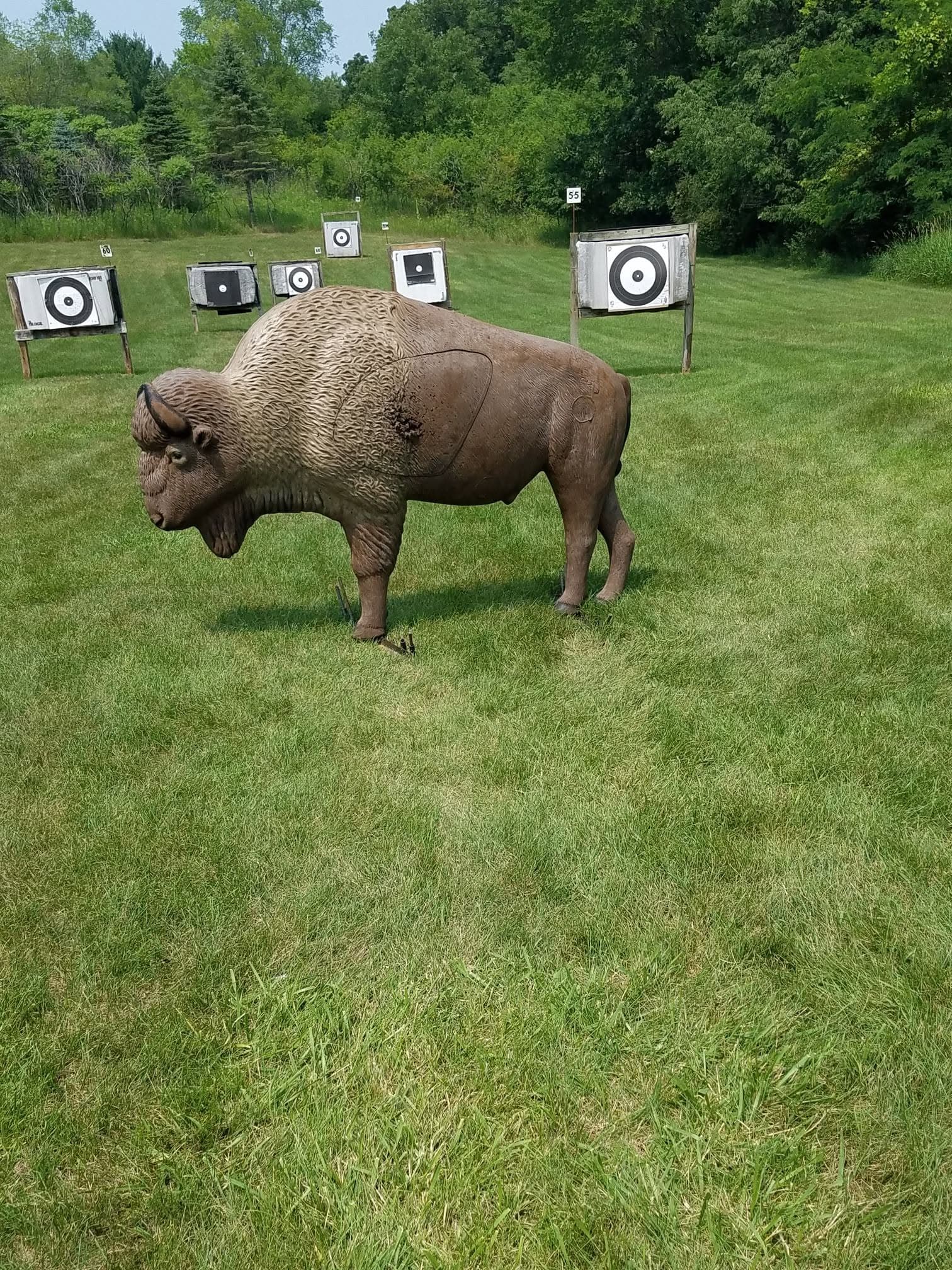 Archery & 3D Shoot