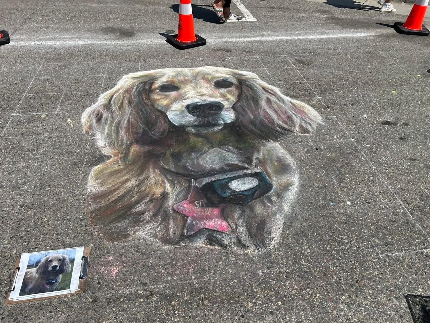 Chalk Art Exhibition