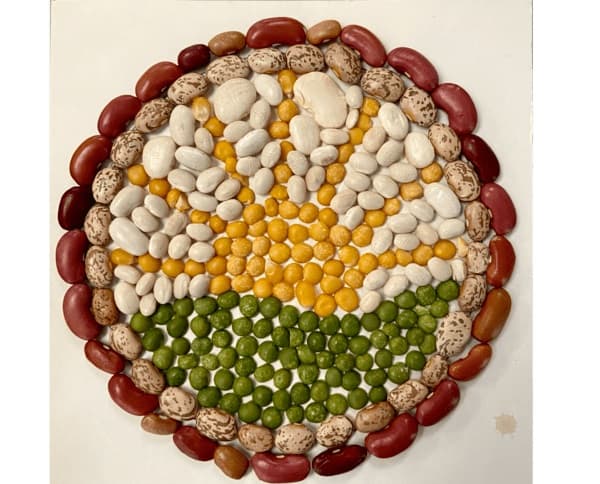 Crop Art: A Minnesota Tradition