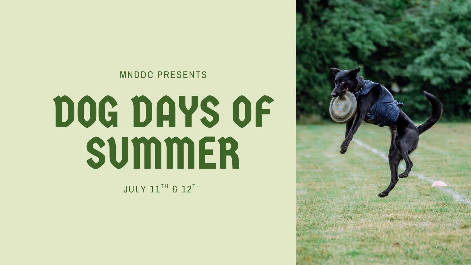 Dog Days of Summer 2026