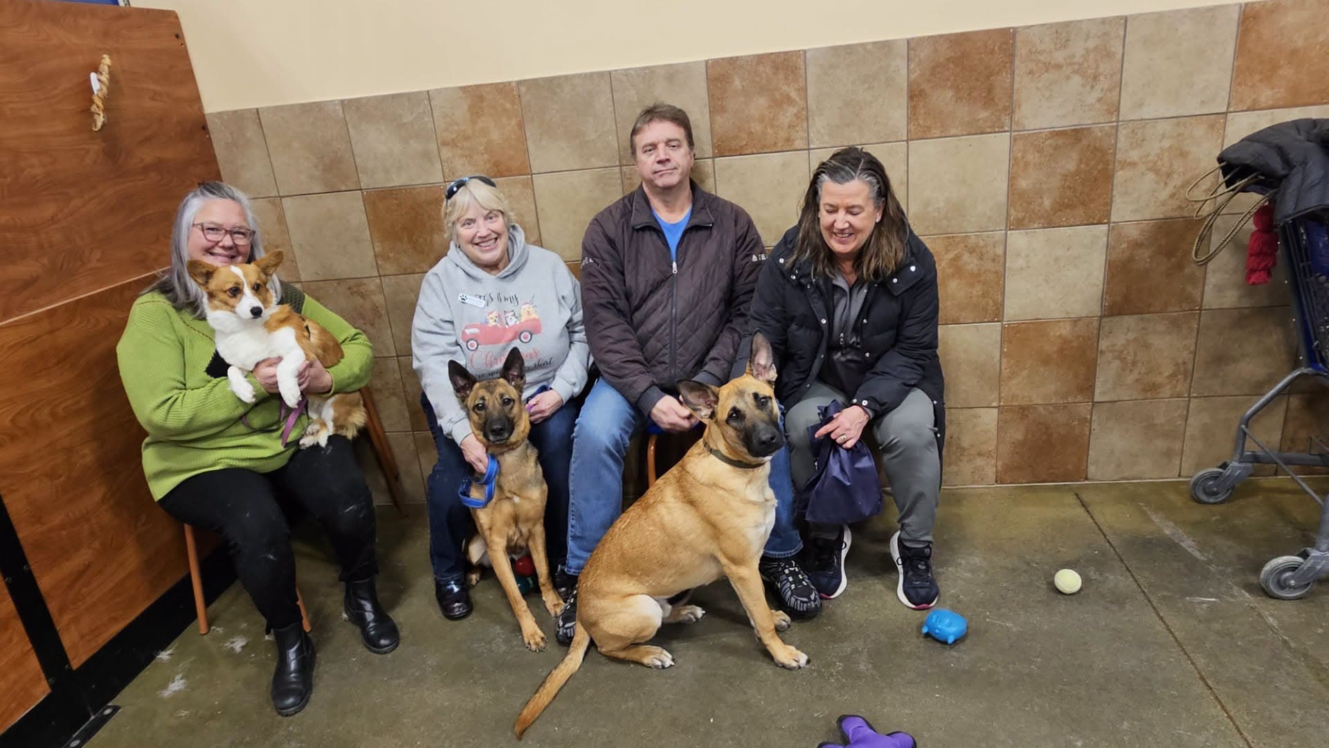 FaerieLand Rescue Adoption at PetSmart