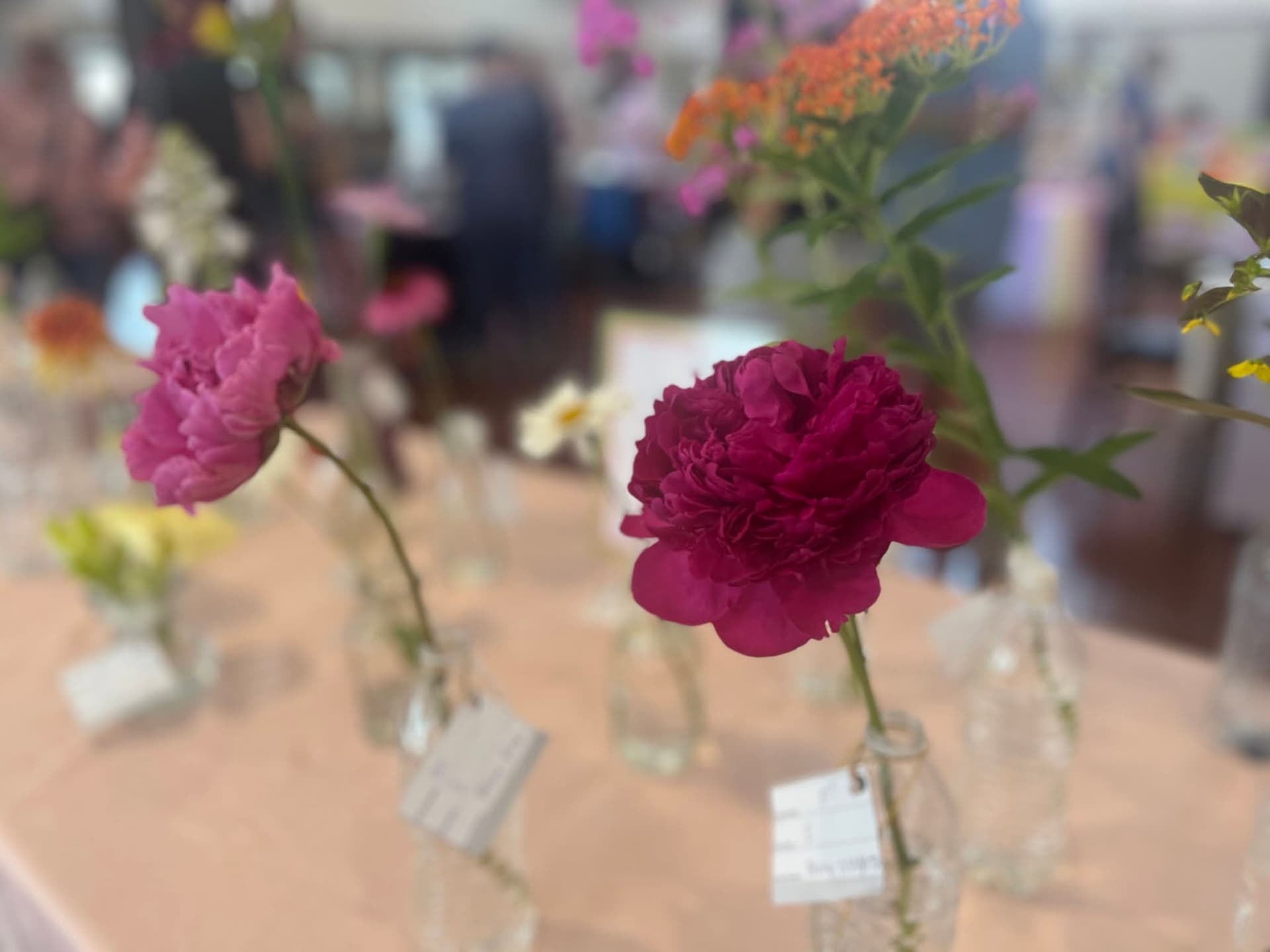 Flower Show
