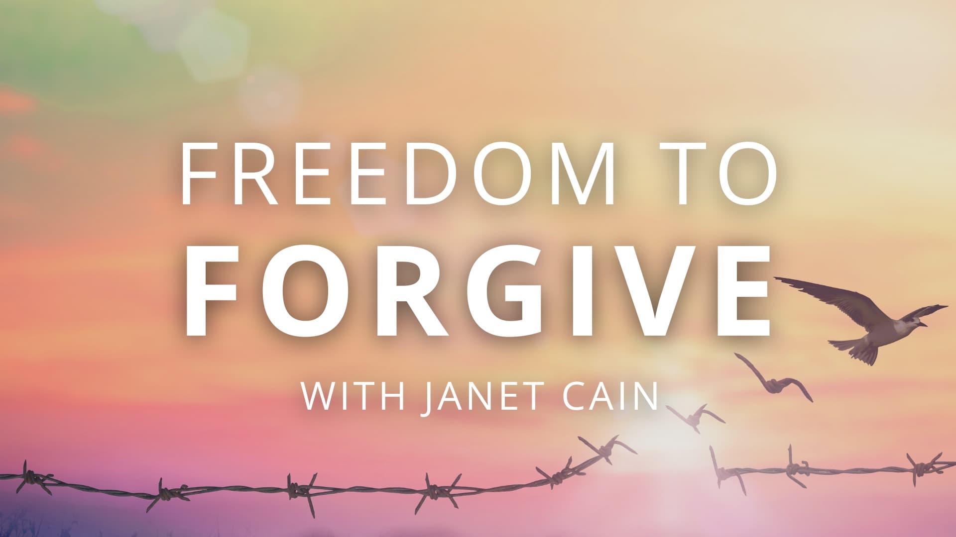 Freedom to Forgive with Janet Cain
