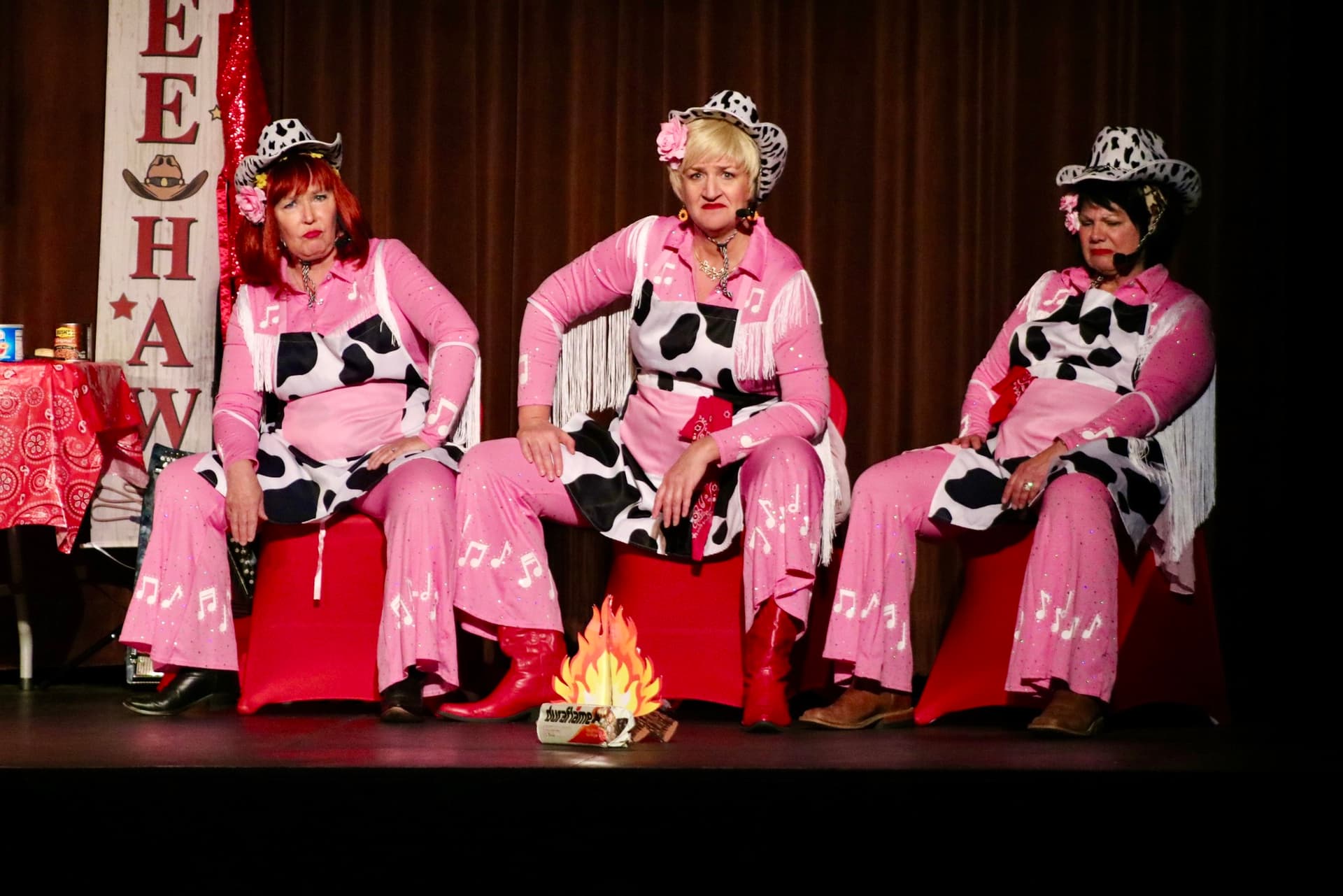 HOTDISH ON THE RANGE at Lakeville Arts Center