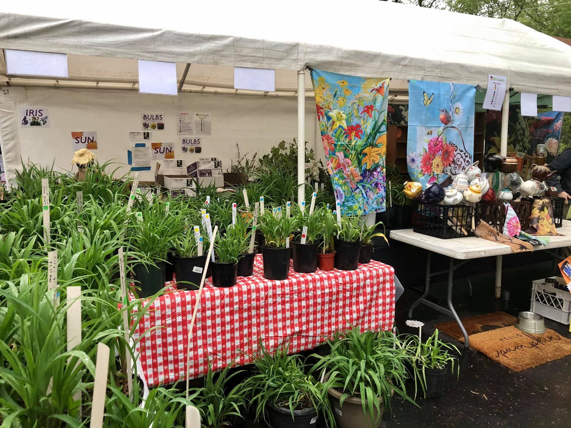 Lakeville Area Garden Club 2026 Plant Sale