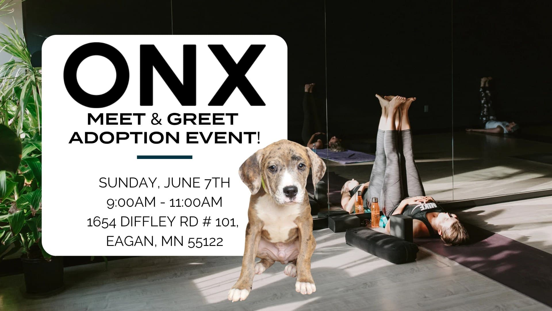 Meet & Greet Adoption Event at ONX Eagan