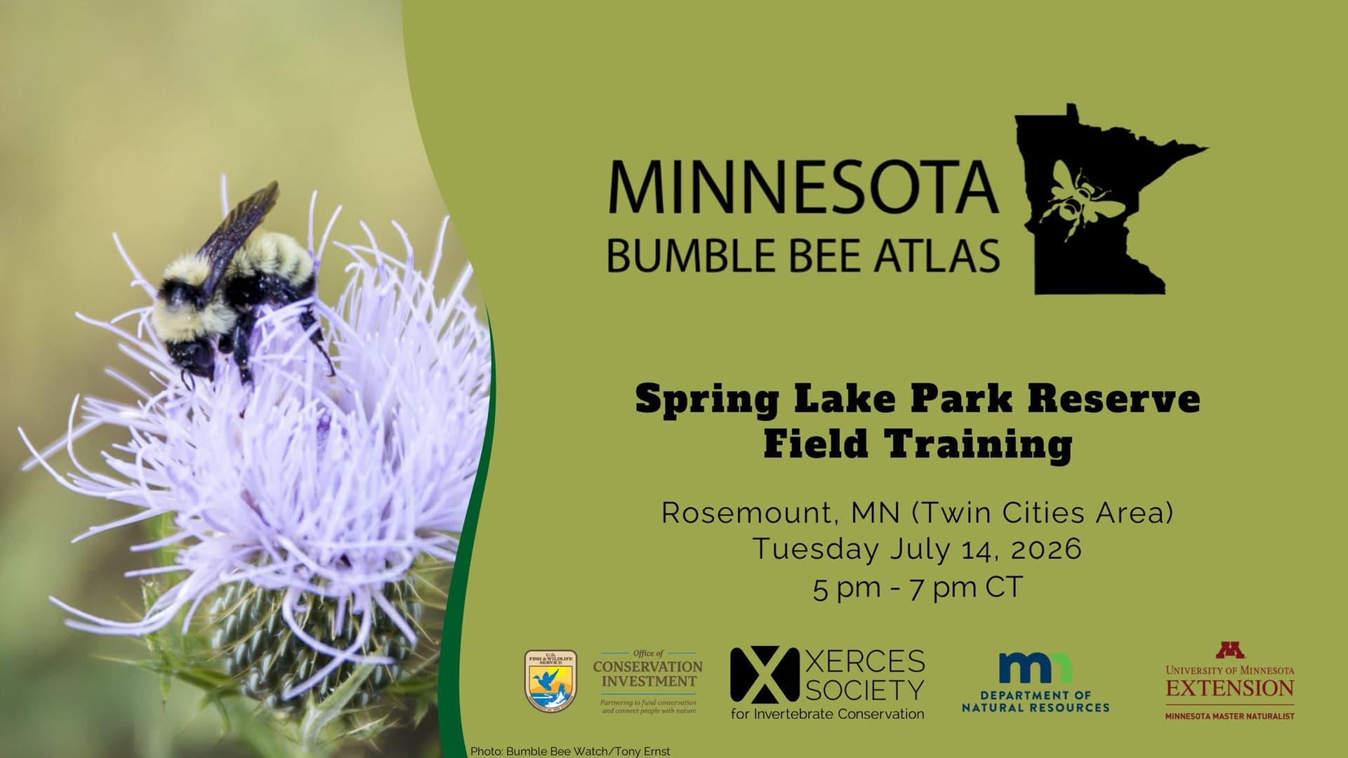 Minnesota Bumble Bee Atlas Field Day at Spring Lake Park Reserve