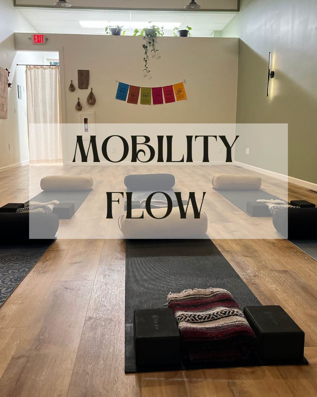 Mobility Flow