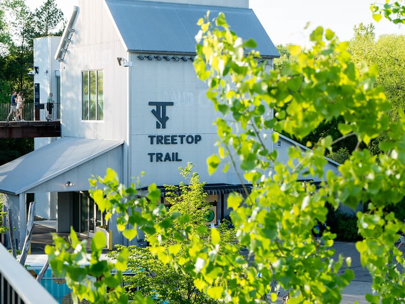 Music in the Trees - Select Sundays this Summer