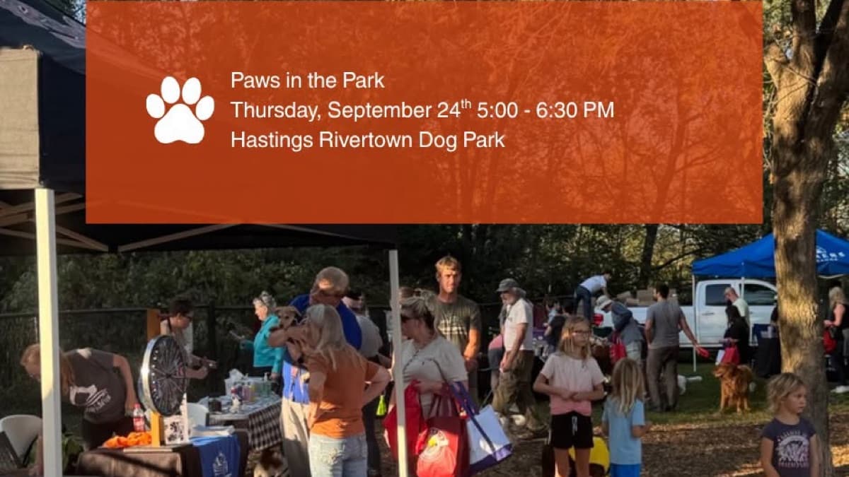 Paws in the Park