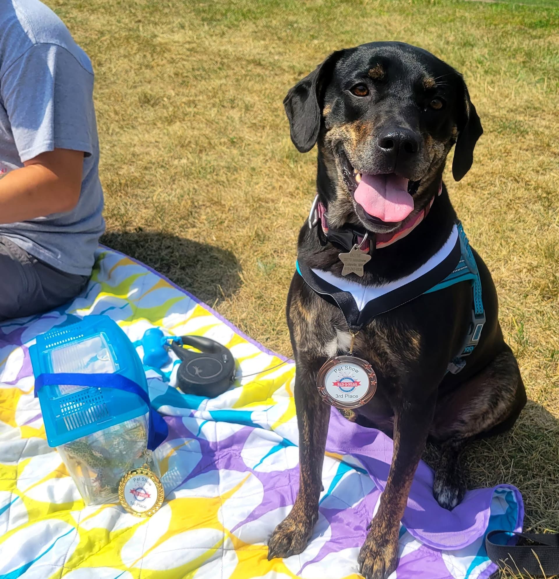 Pet Show and Contest