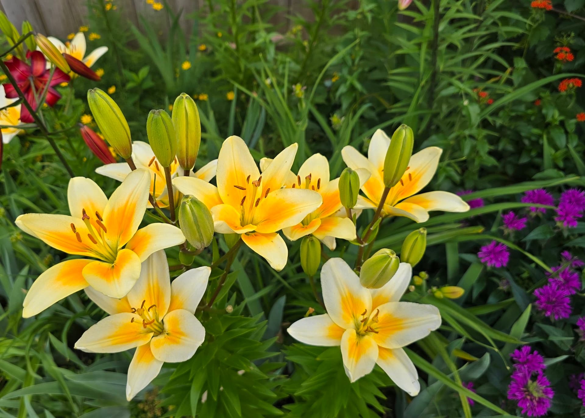Plant Sale