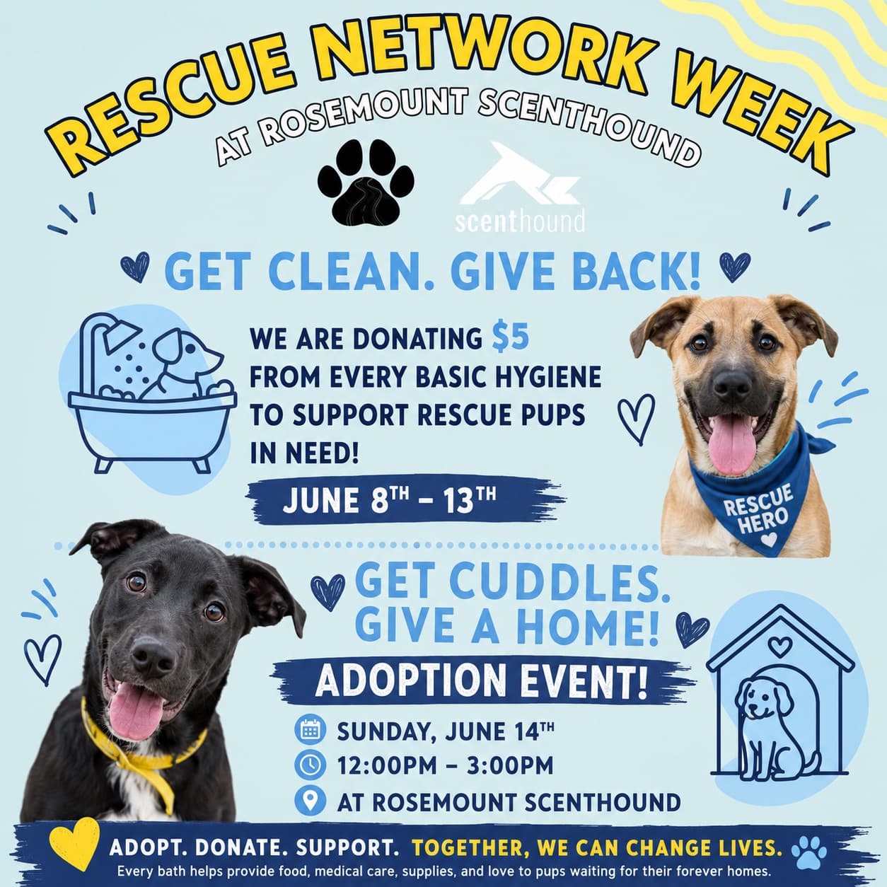 Rescue Network - Scenthound Fundraiser and Adoption Event