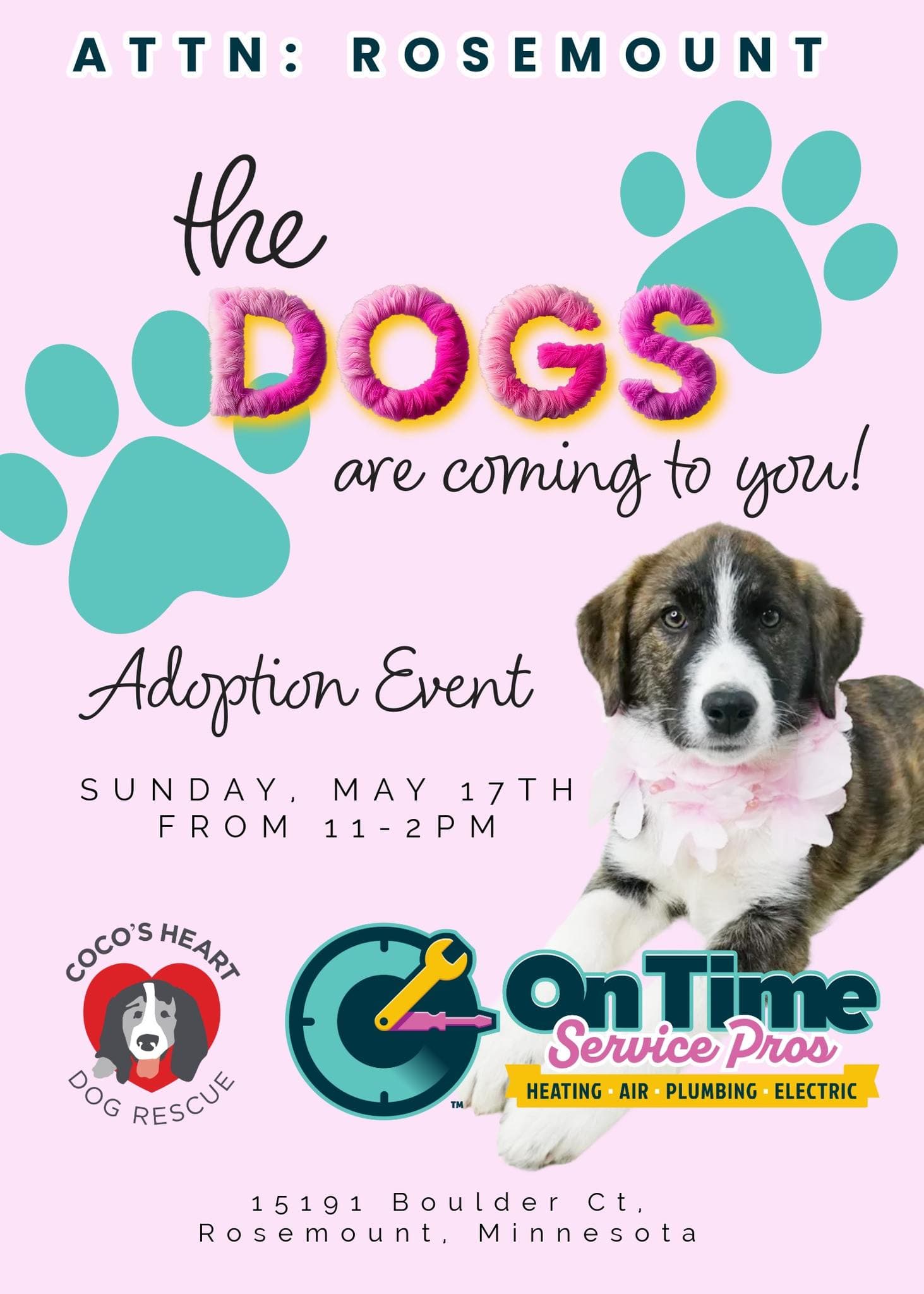 Rosemount Adoption Event!