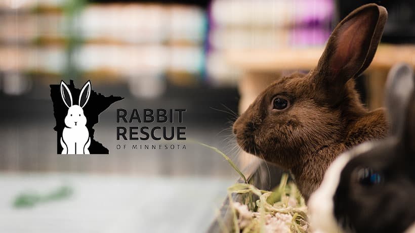 RRMN Romp & Spa / Nail Trim Event