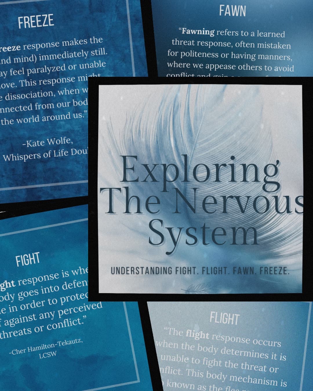 Softening: Nervous System Awareness and Tuning Workshop