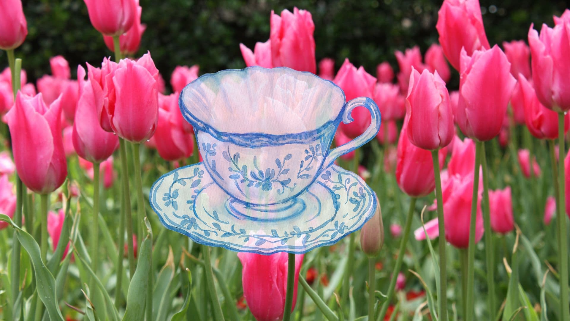 Spring Tea at The Confluence Hotel