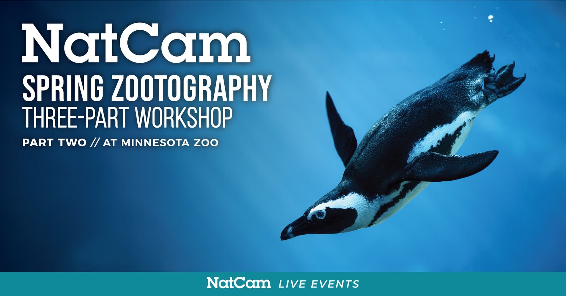 Spring Zootography Workshop w/ NCE: Part 2
