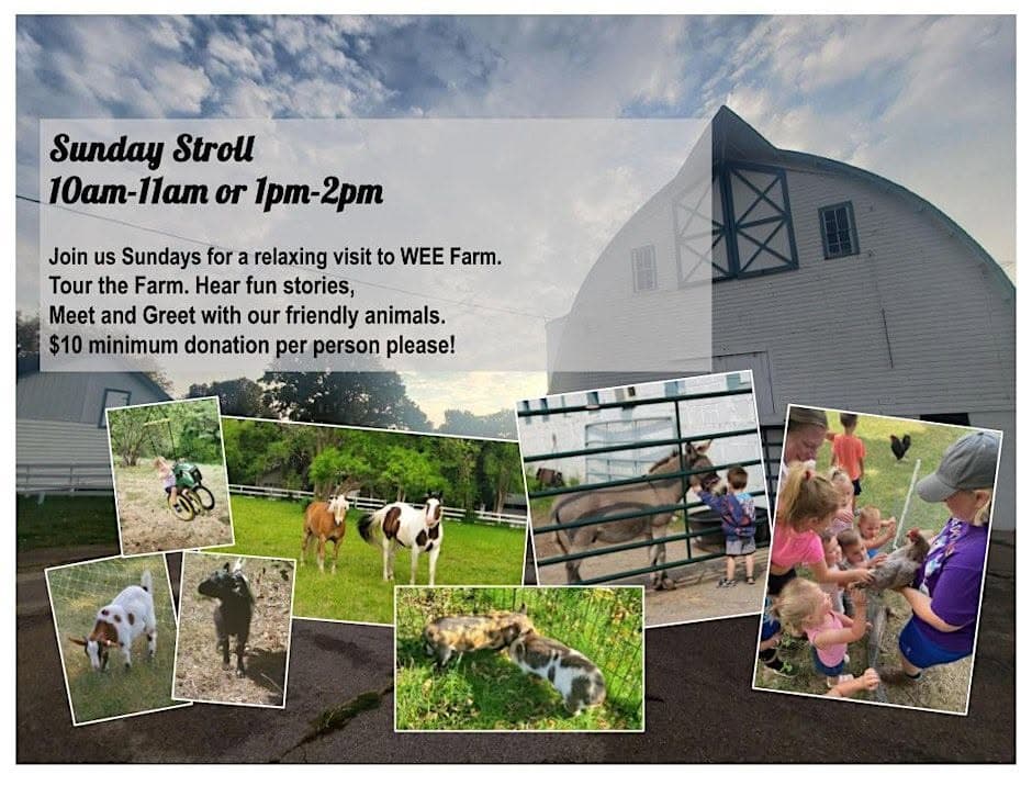 Sunday Stroll at WEE Farm (morning)