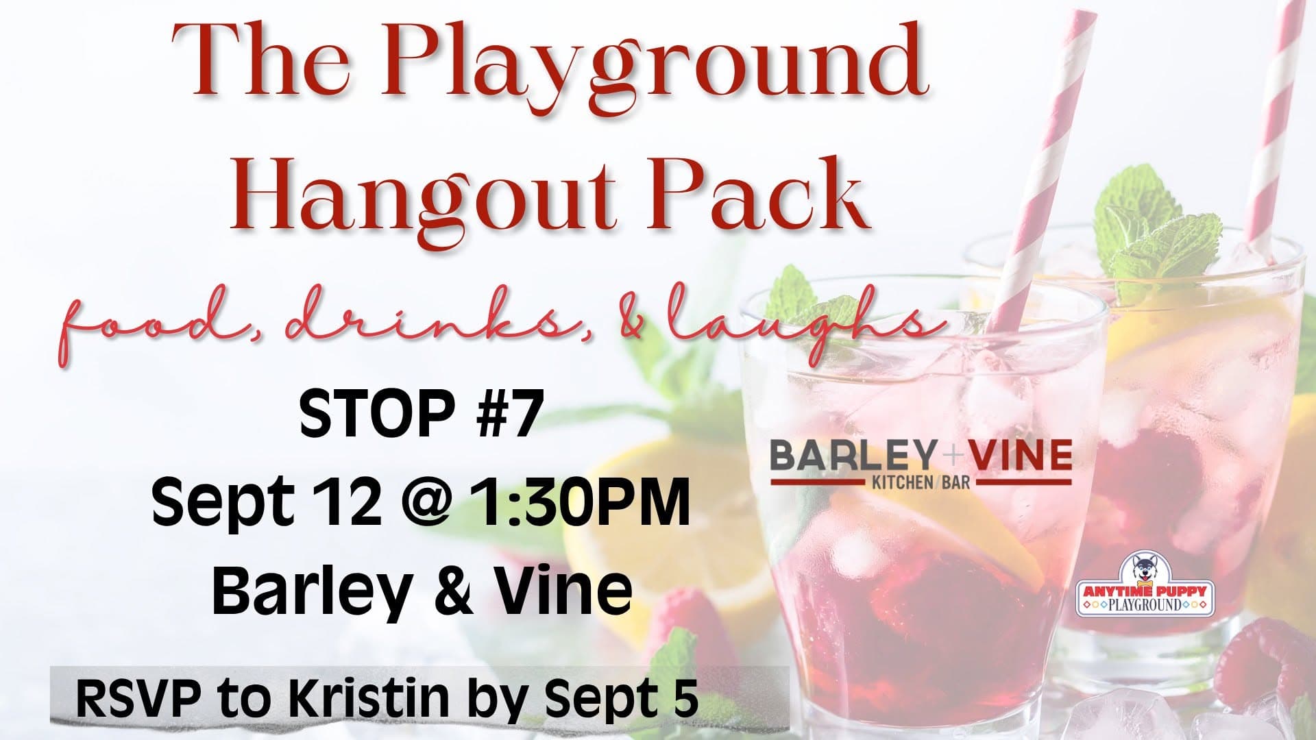 The Playground Hangout Pack — Barley + Vine (Lakeville)
