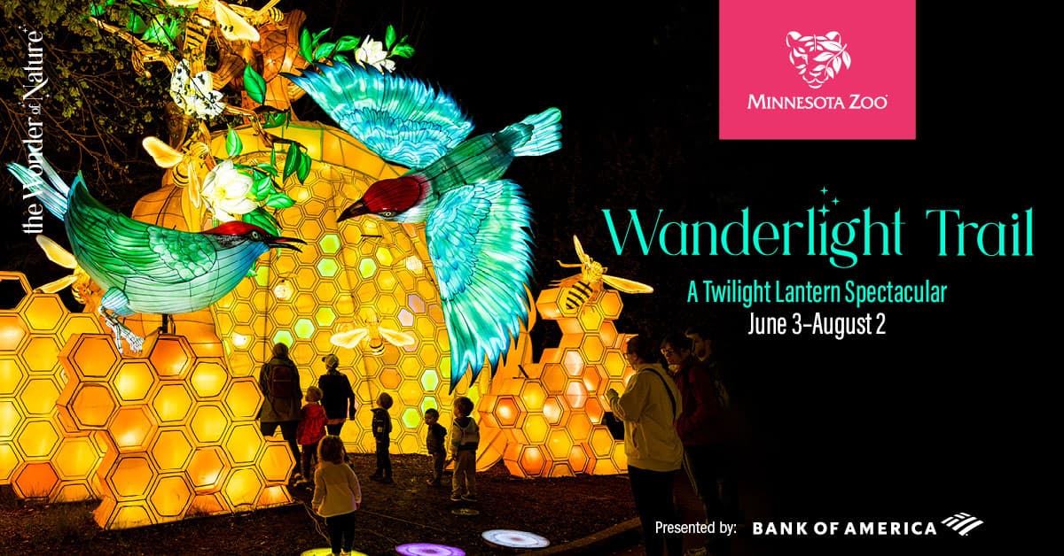 Wanderlight Trail: A Twilight Lantern Spectacular