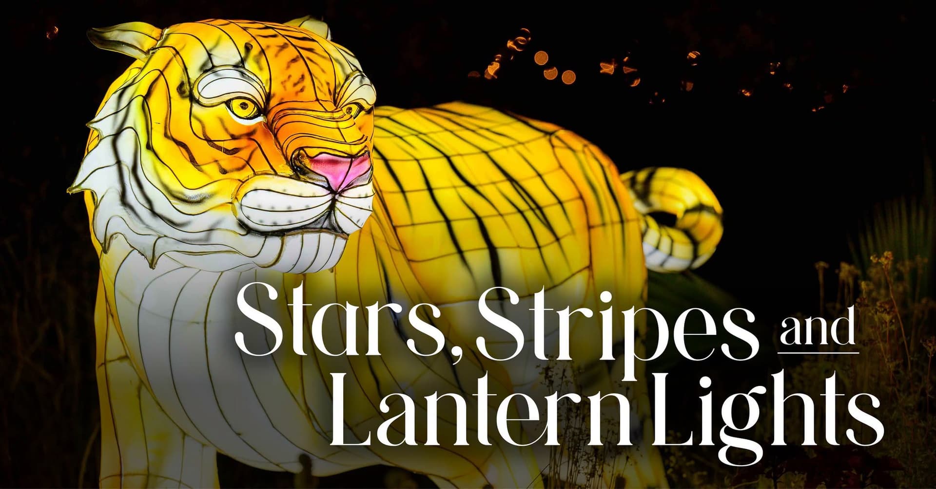 Wanderlight Trail: Stars, Stripes and Lantern Lights