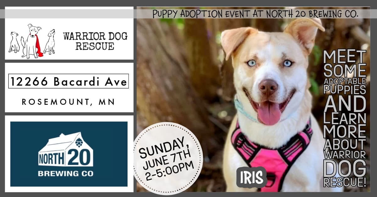 Warrior Dog Rescue at North 20 Brewing