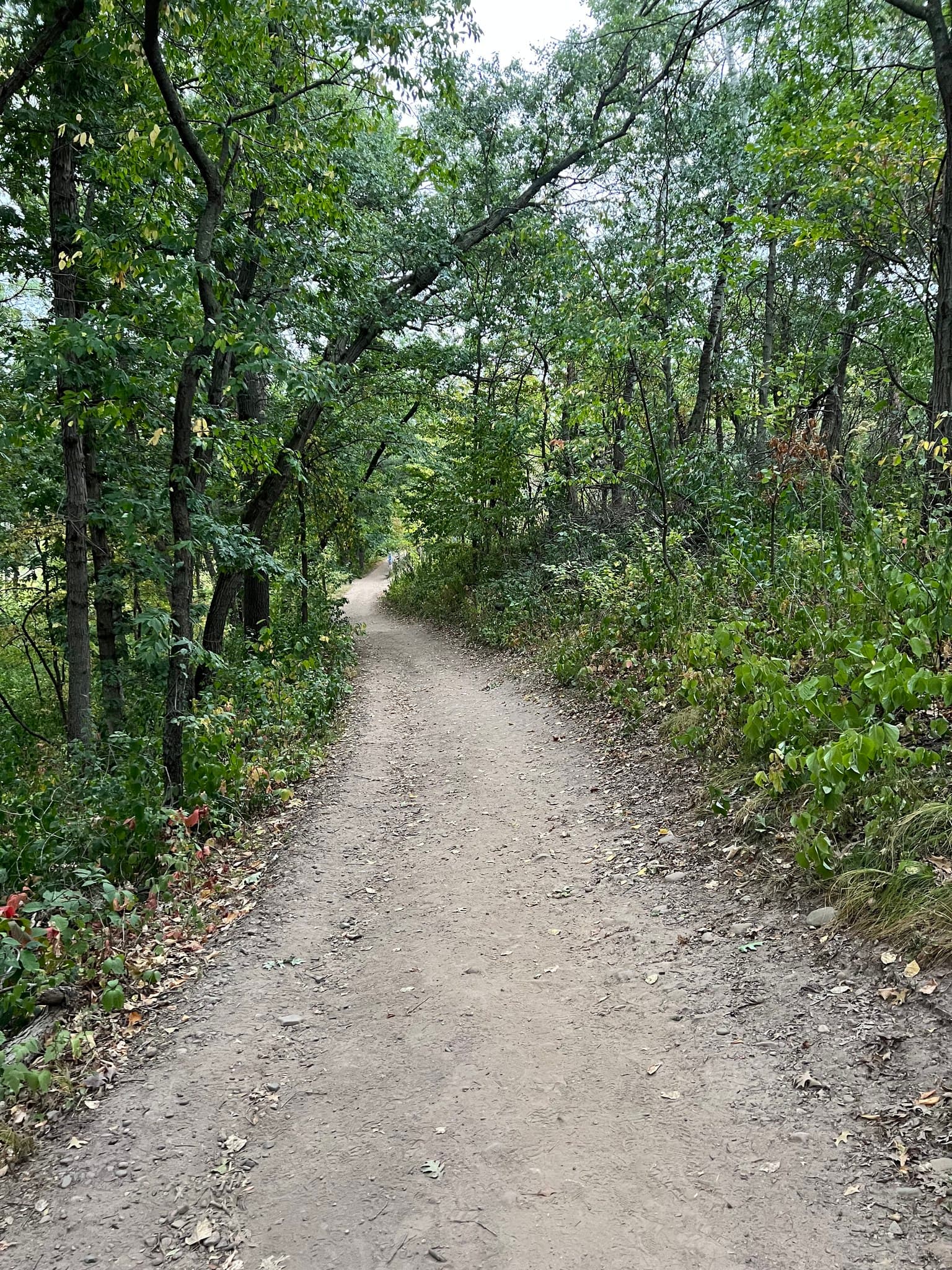 Women's Group Walk & Talk at Jensen Lake