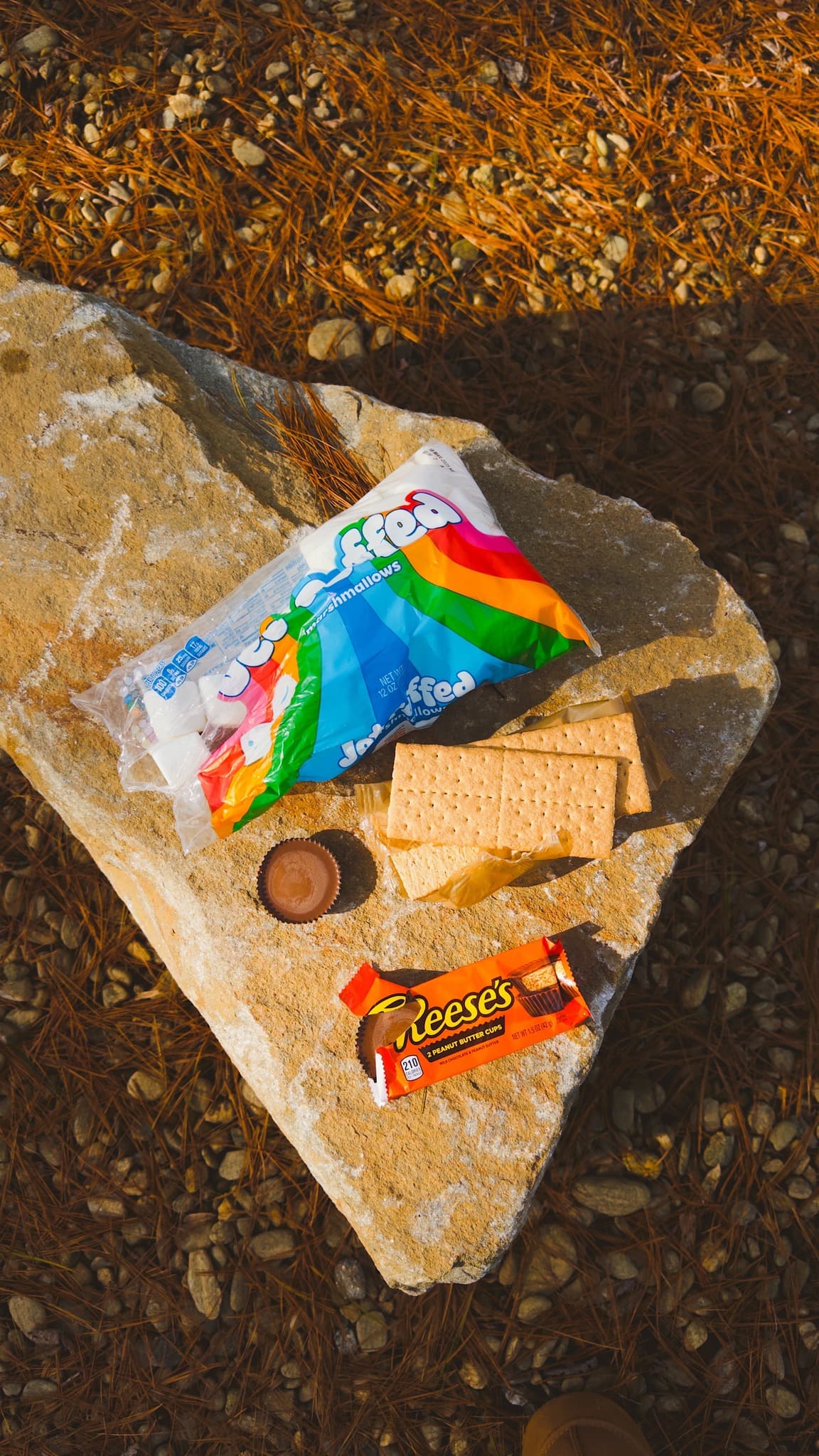 Yard Games & S'mores