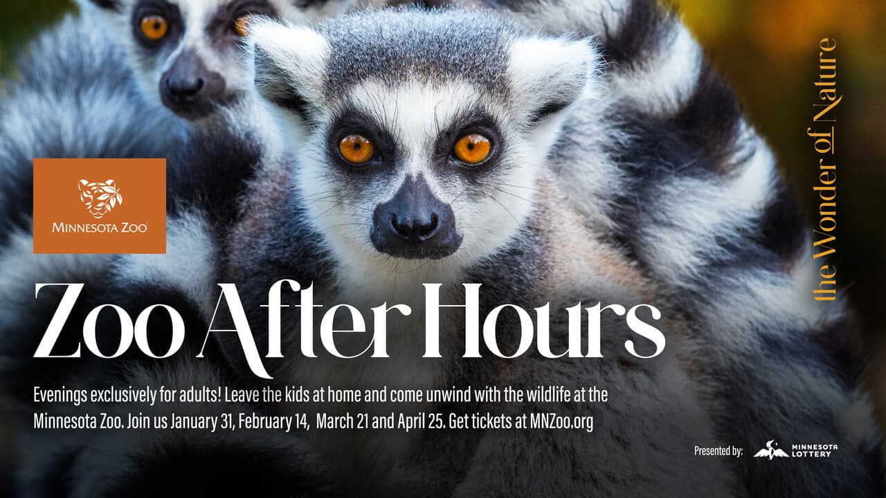 Zoo After Hours: Cowchella