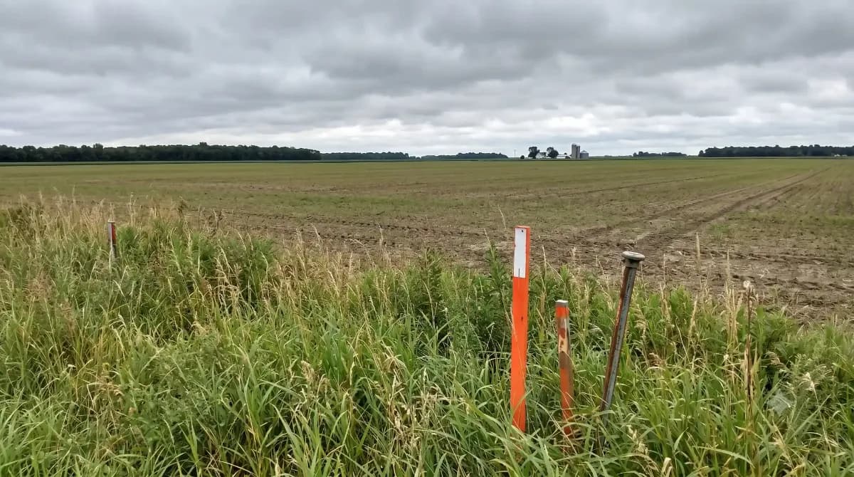 Farmington Just Cleared the Way for 370 Homes Near Denmark Avenue